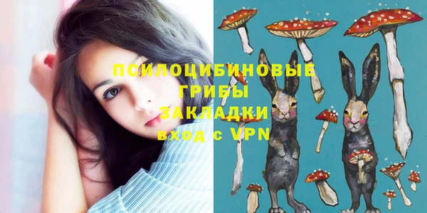 кокс Козельск