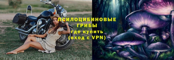 шишки Абинск