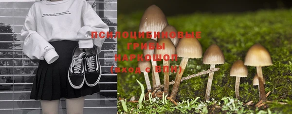 кокс Козловка