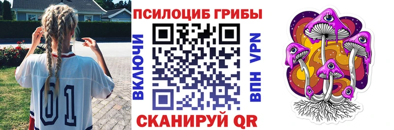 Псилоцибиновые грибы Psilocybe  как найти наркотики  Павловский Посад 