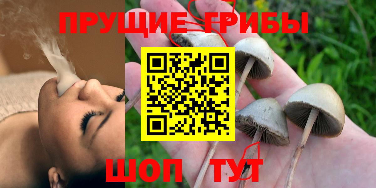 магазин продажи   Вход с VPN  Павловский Посад  Псилоцибиновые грибы мицелий  Псилоцибиновые грибы MAGIC MUSHROOMS 